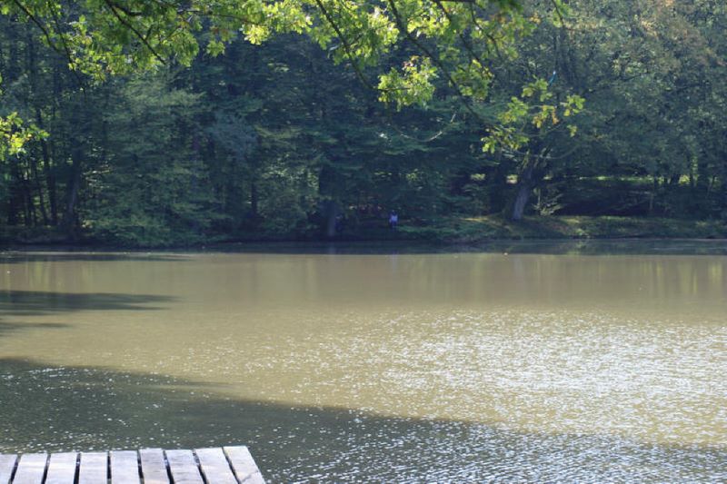 44+ Die Drei Teiche Hungen, Das nachrichtenportal der gießener